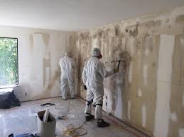 Professional Mold Removal & Remediation in Garrison, MD